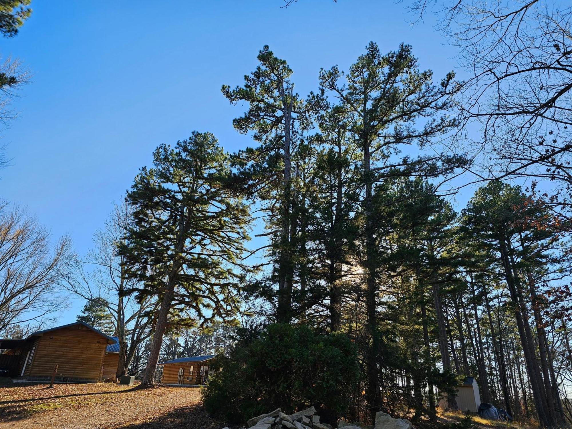 5 Min To Beaver Lake-King Bed-Fire Pit-Jetted Tub #3 Eureka Springs Buitenkant foto