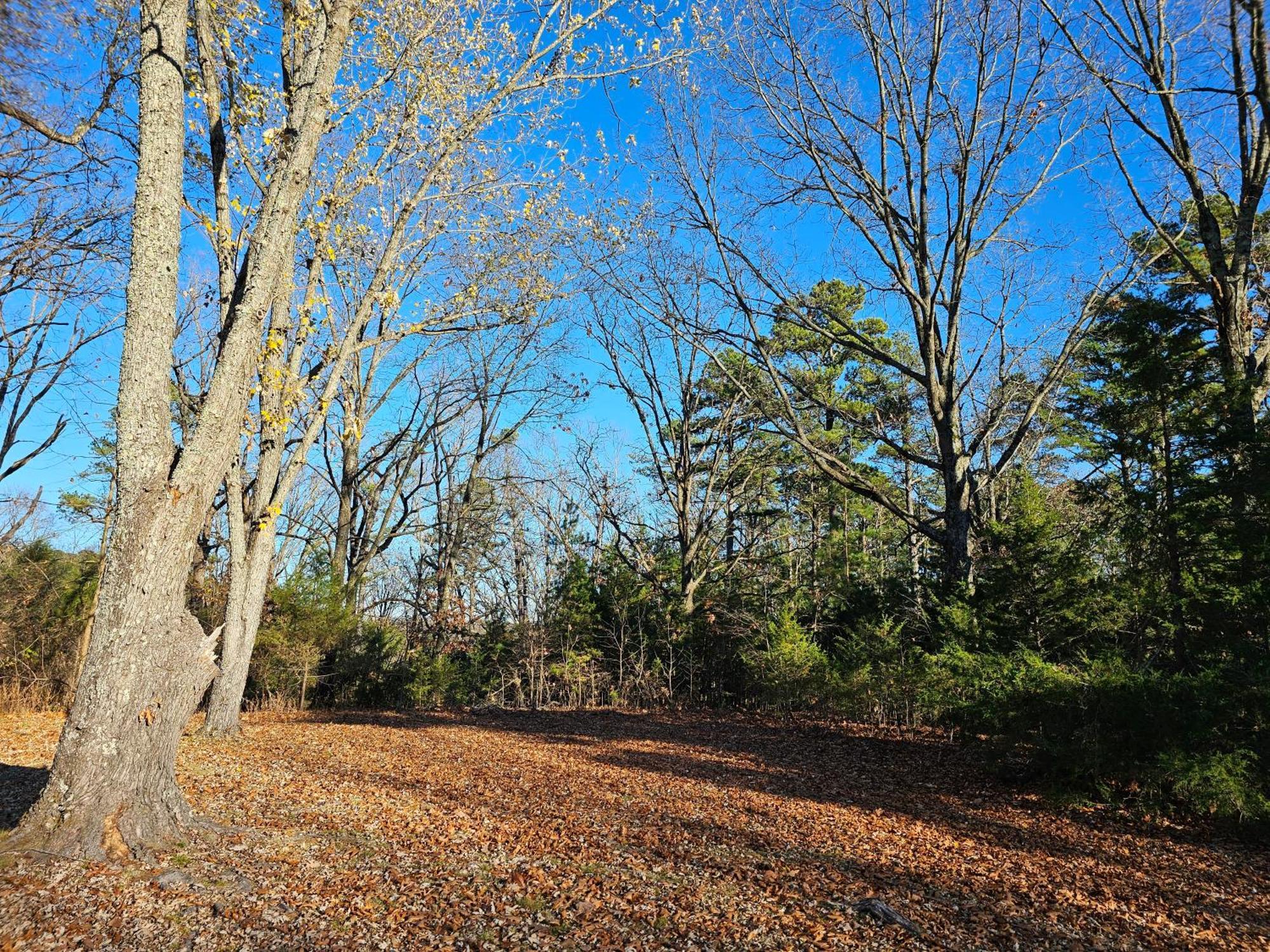 5 Min To Beaver Lake-King Bed-Fire Pit-Jetted Tub #3 Eureka Springs Buitenkant foto